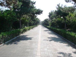 朝阳陵园道路